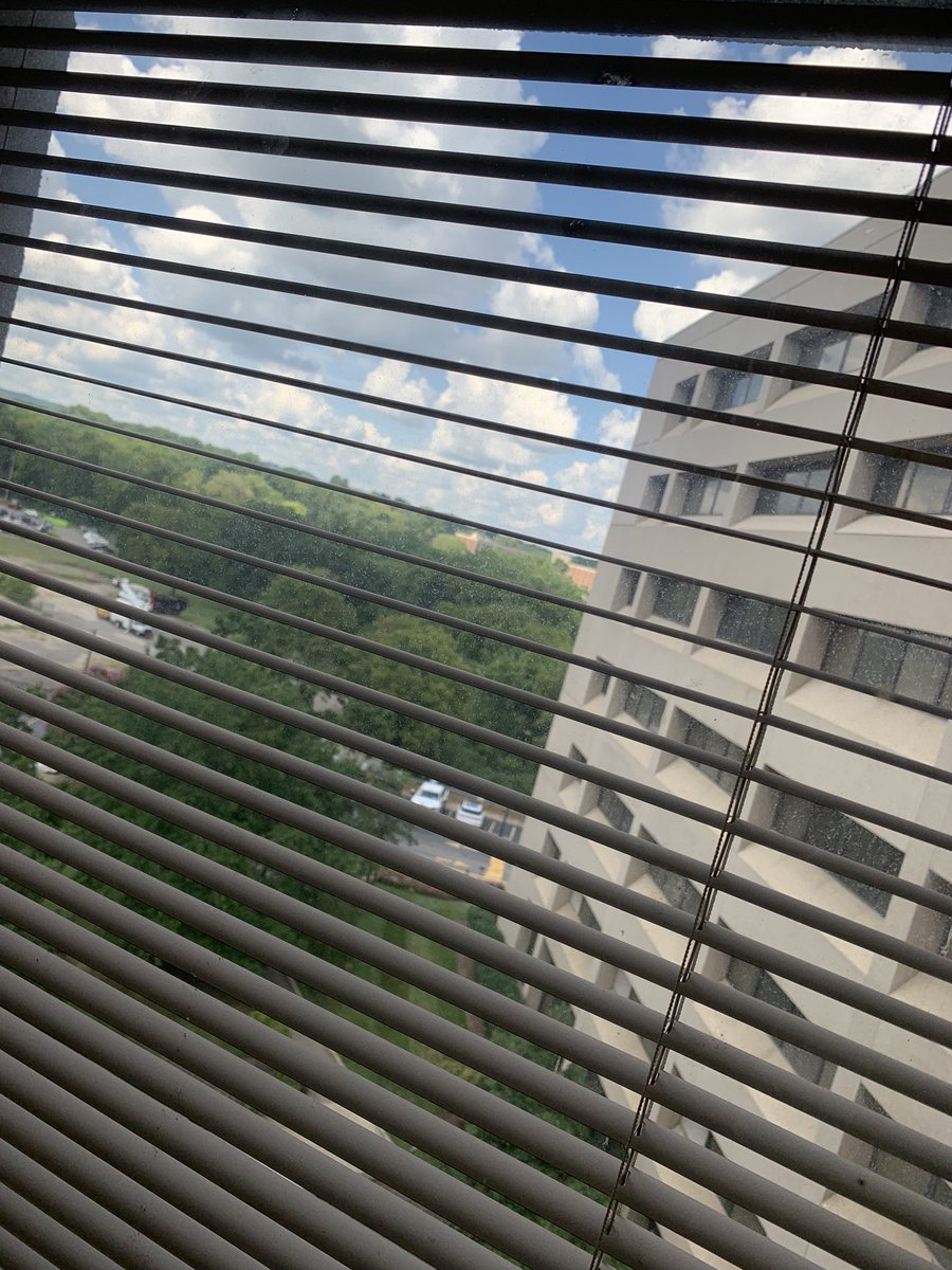 Kitkhet's tweet image. Not quite the Wyoming view …. Re entry is hell! @ecampbellreed @dianabutlerbass @susanjtweit @andyblackmun