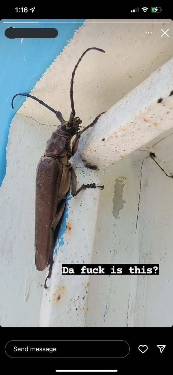 Yo necesito que alguien venga y me explique QUE DIABLO E ETO