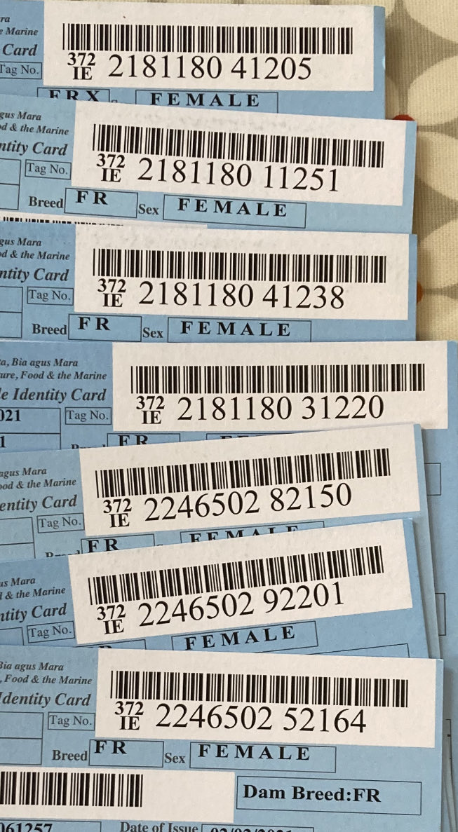 Enda Doran tweet media