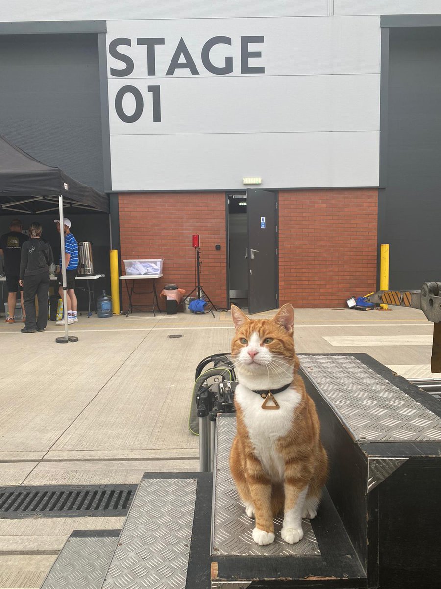 PoshJoshnGinger's tweet photo. Well done to CJ whose just wrapped on multi-days filming for a very exciting project 😍 of course he was Purrfect #filmanimals #tvanimals #catsontv #animalcrew #supercat . . https://t.co/h3DQjNwi3P