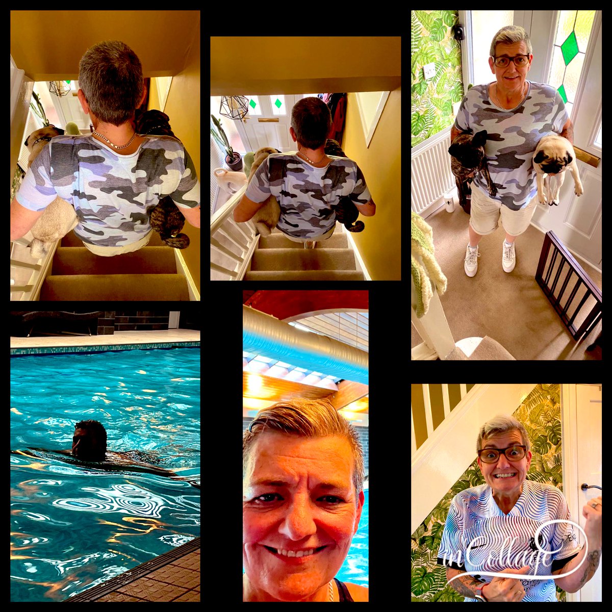 Frug and Pug weightlifting, swim, and finally some jumping activity watching the greatest team in the world! #NursesActive @MRowlandPhysio <a href="/Saraklowe/">Sara Lowe</a> <a href="/samgrove70/">samgrove70@icloud.com</a>