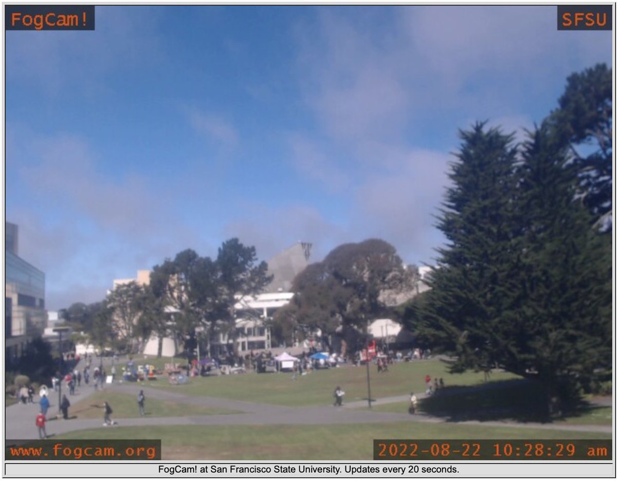 Welcome to Fall 2022, Gators! #sfsu