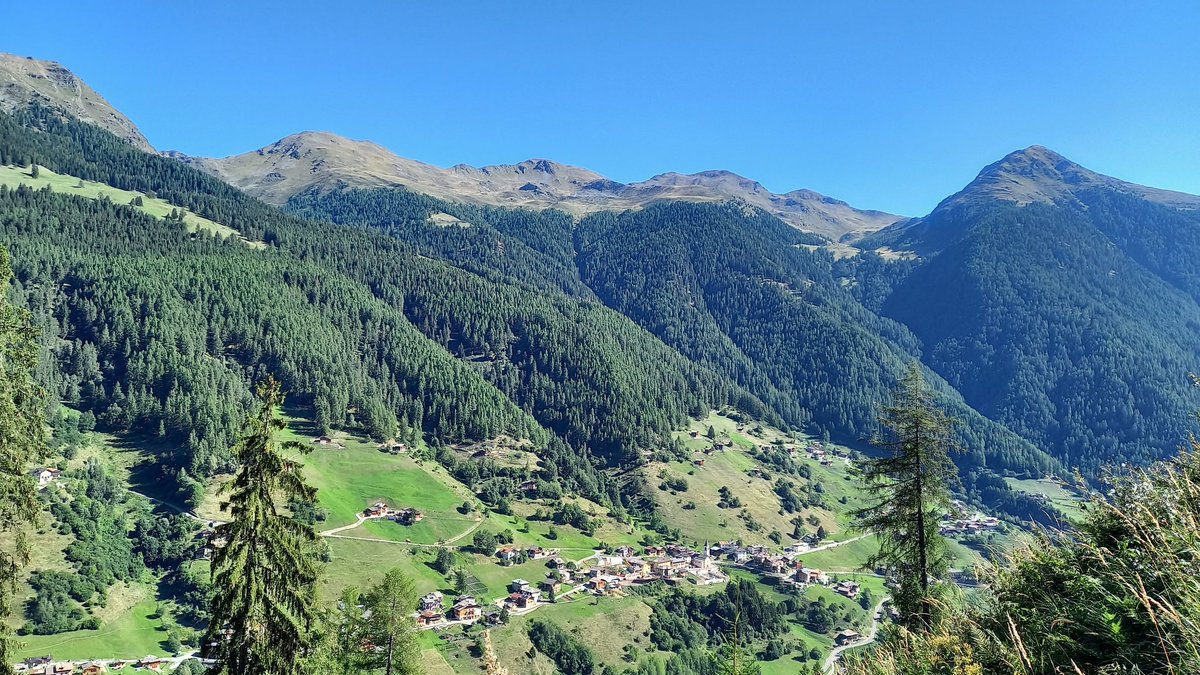 errebi54's tweet photo. E per l'ultimo giorno in valle una bella camminata in una valle stupenda #valdirabbi #areasostaalplan #visittrentino https://t.co/t0cEAFnXRO