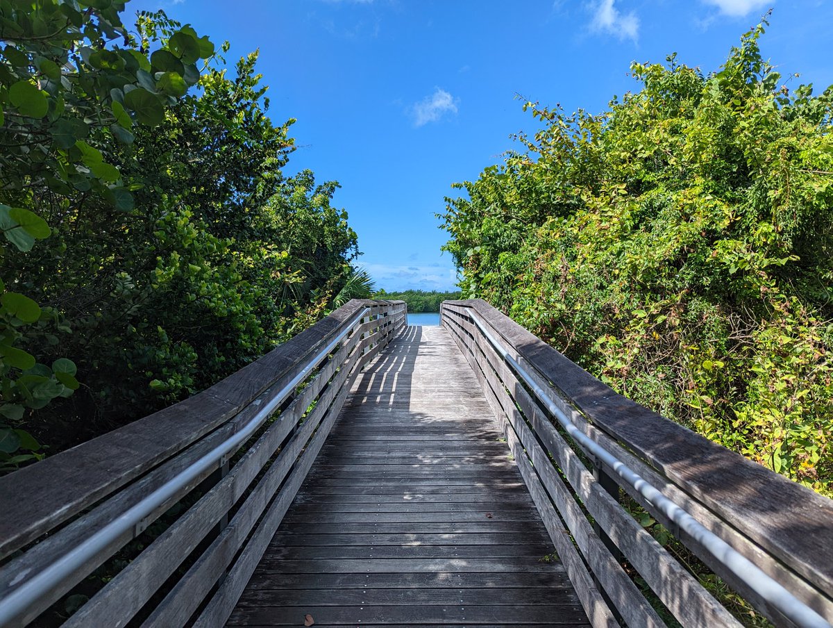 RojekRealtors's tweet photo. How adventurous are you? #TigertailBeach on #MarcoIsland offers a more secluded #beach option for visitors, and can be accessed by sand or a shortcut through the lagoon!
https://t.co/2FCHwjrFNq
#SWFL #Tigertail #IslesOfCapri #SouthwestFlorida #SouthFlorida #ParadiseCoast https://t.co/VrGcK8WOHW