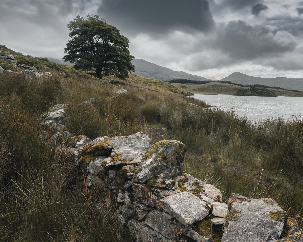 Chris Harvey tweet media