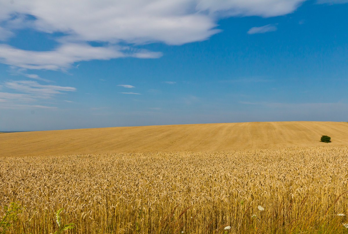 Andrey Sizov tweet media