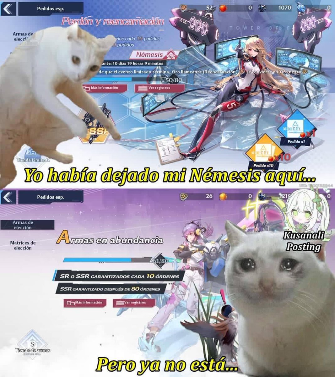 PolarMC🦎 tweet media