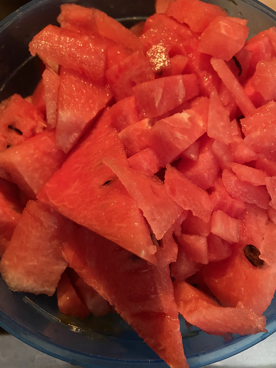mrbdubya's tweet photo. @GoldSetInSilver’s watermelon crop this year is juicier and sweeter than year 1…like our marriage! https://t.co/BJY0kBb07g