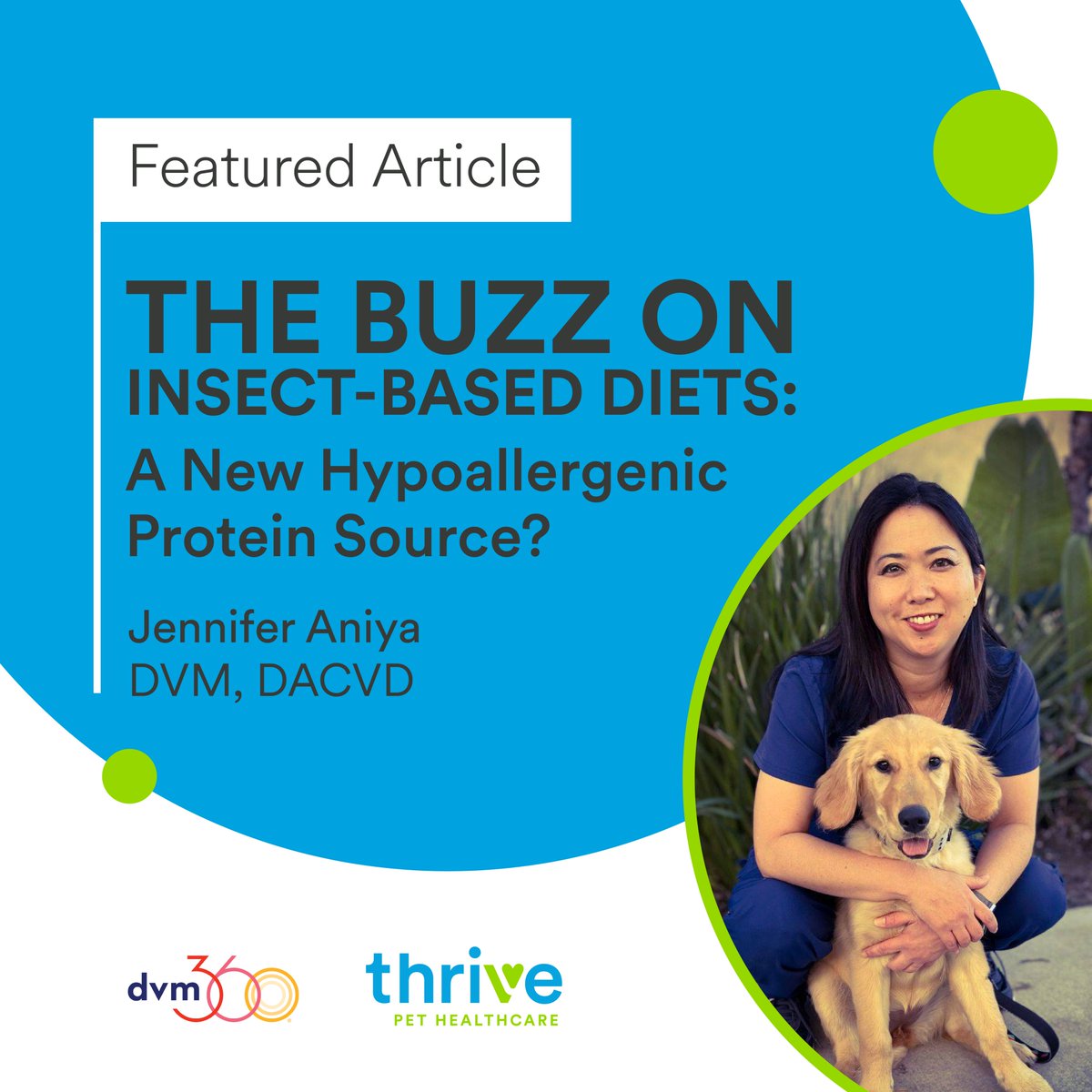 pathwayvets's tweet photo. One of our network’s talented dermatologists, Jennifer Aniya, DVM, DACVD, has a new featured article in @dvm360: “The buzz on insect-based diets: a new hypoallergenic protein source?” https://t.co/ho36kiUCy4