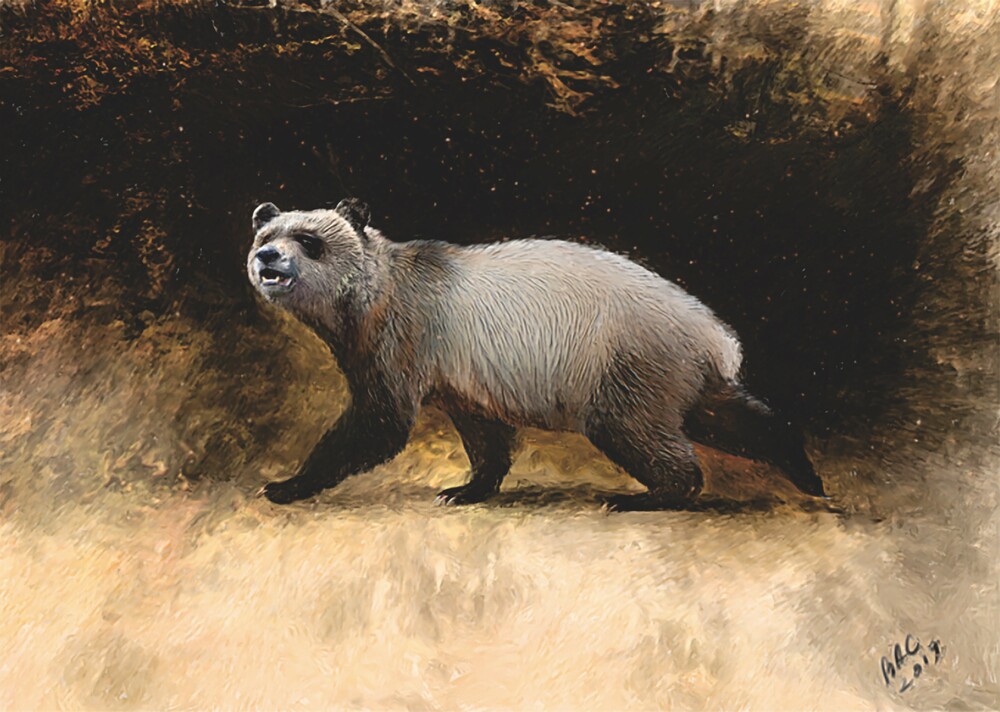 Bulgarian News Agency (@btanewseng) on Twitter photo A close relative of today's giant #pandas lived in the #Balkans some six million years ago, according to a #study by paleontologist Nikolai Spassov of the National Museum of Natural History with the <a href="/BgSciencesBAS/">Bulgarian Academy of Sciences</a> 📍 bta.bg/en/news/cultur… A close relative of today's giant #pandas lived in the #Balkans some six million years ago, according to a #study by paleontologist Nikolai Spassov of the National Museum of Natural History with the <a href="/BgSciencesBAS/">Bulgarian Academy of Sciences</a> 📍 bta.bg/en/news/cultur…