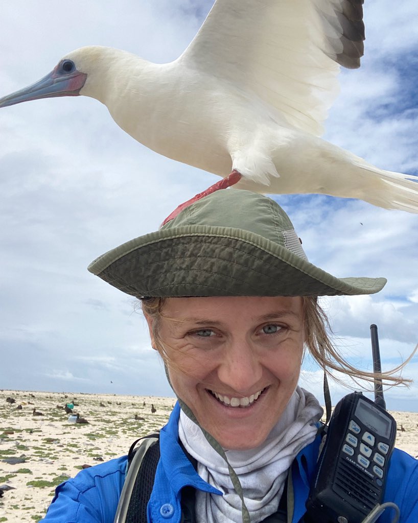 Anna Vallery tweet media