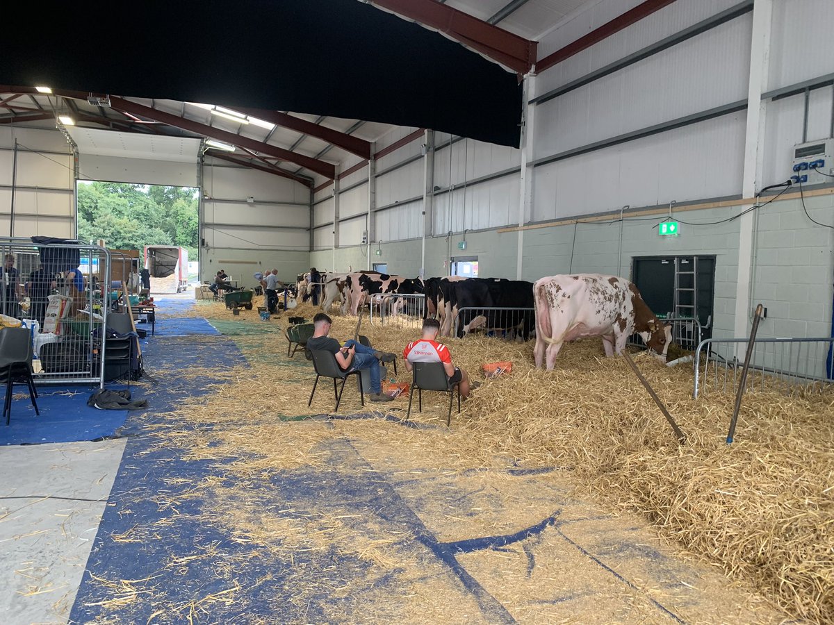 Breifne O'Brien tweet media