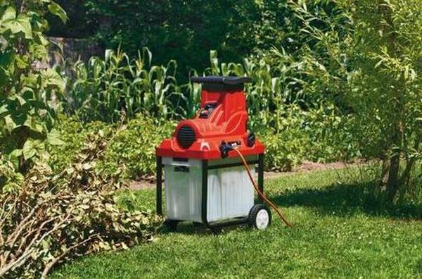 Creativ_Portal's tweet image. Рейтинг лучших садовых измельчителей 2022 👍
Каждый год перед дачниками и садоводами стоит проблема уборки сухих веток и травы. Поможет в этом де #Новинки  #измельчители #Садовые #Рейтинг #обзор

creativportal.ru/top-sadovyh-iz…