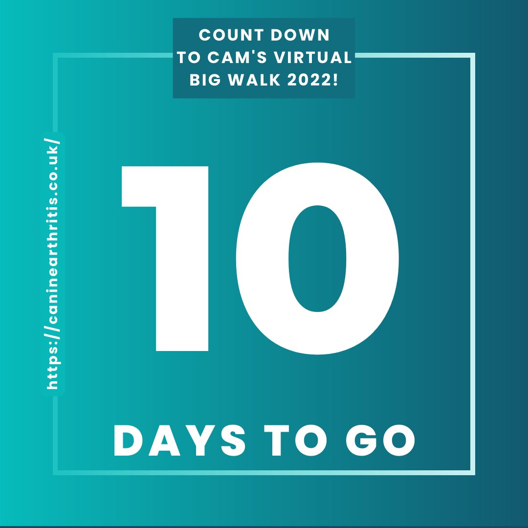 Canine Arthritis Management tweet media