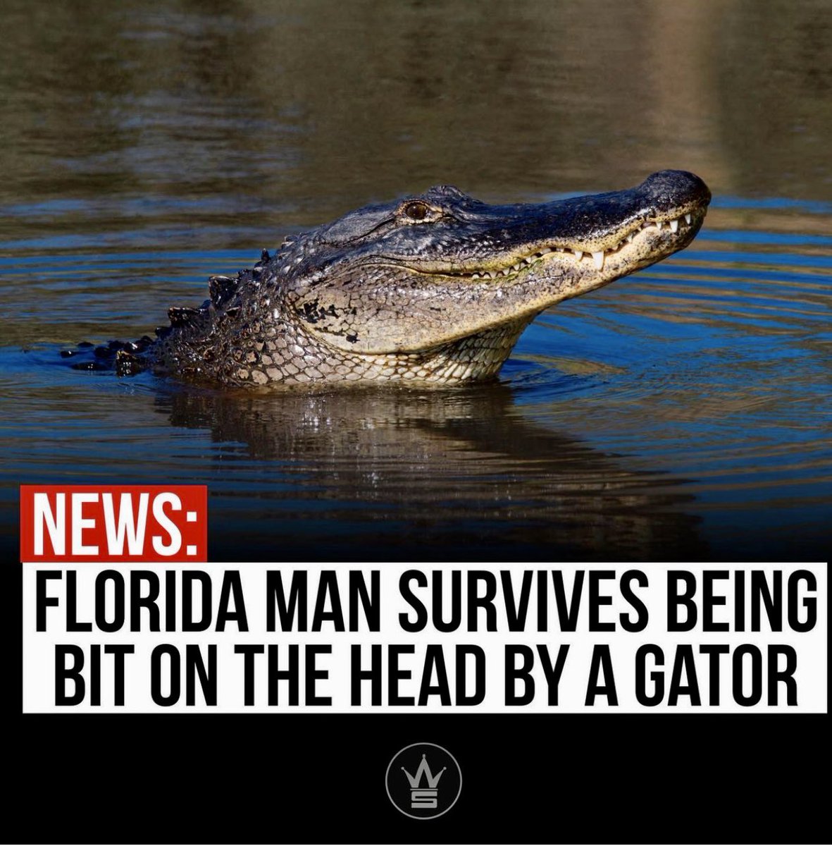 🤦🏽‍♂️ Florida….. just,…… FLORIDA 🙄  🐊