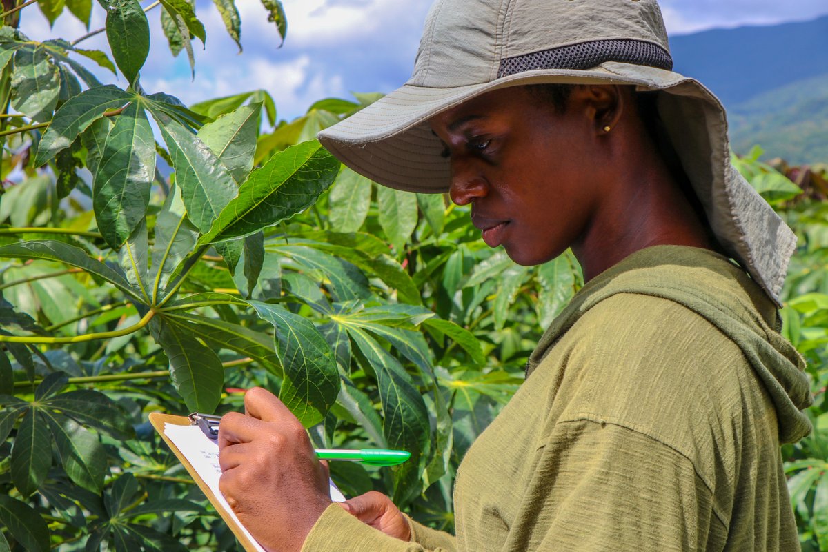 FeedtheFuture's tweet photo. JOB OPPORTUNITY: @USAID’s Bureau for Resilience &amp; Food Security is looking for a Climate Adaptation Specialist to join the Center for Resilience. Want to design new programs to advance #ClimateAction &amp; build a resilient, prosperous future? Apply by Aug 25: https://t.co/zH0Pk3GECB https://t.co/r9yhnsi8so