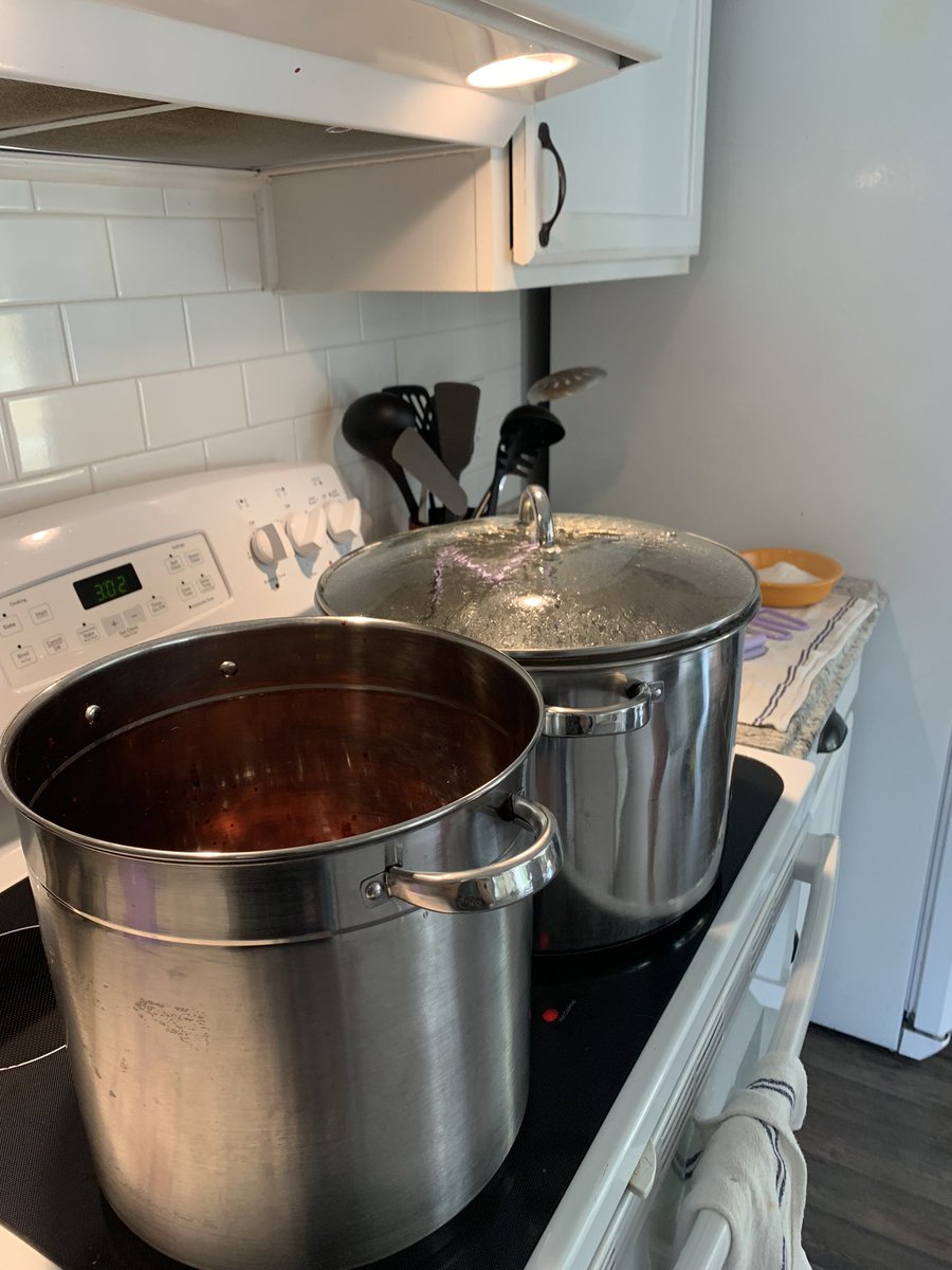 Homesteading- jam season 💚
