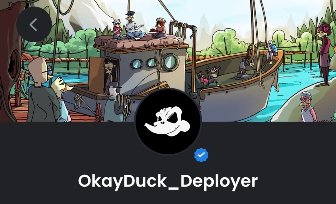 Okay Duck Yacht Club 🦆 tweet media