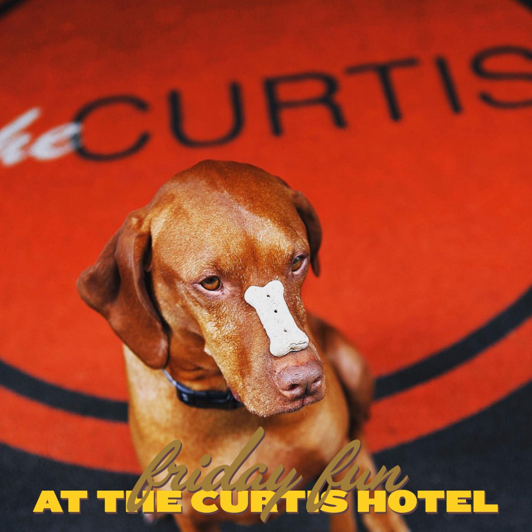 Calling all humans and their four-legged, furry pals - 
Join us on Friday, August 26th, from 3 - 5 PM for a special Fido edition of our FRIDAY FUN!

Swing on by for a good time and some delicious pooch-approved treats!