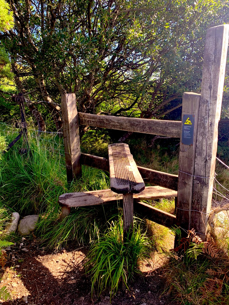 Ticketybooo's tweet photo. Stiles along the Bloody Bridge River #codown @LakesStiles #mourne #mournewall #brandypad #stiles #views #irishsea https://t.co/a6OFTdTIgZ