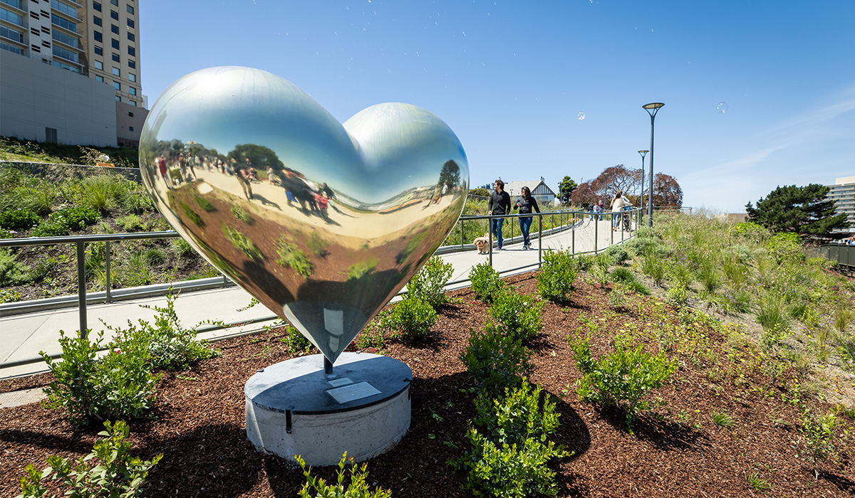 Do you love Francisco Park? Please consider joining us as a Steward. Meet up with fellow supporters at a quarterly coffeeklatch and learn about other park events: franciscopark.org/donate/