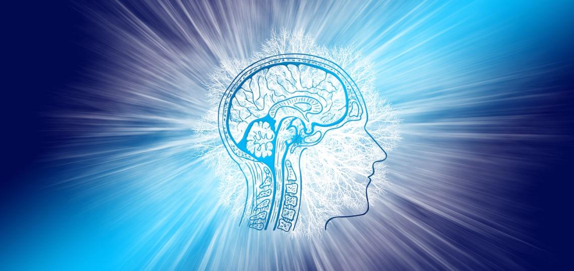 How do our brains work when we’re awake?

#NEIfunded research reports a new sensor that allows imaging of brain activity for longer &amp; deeper in the brain without missing signals. 

<a href="/bcm_neurosci/">BCM Department of Neuroscience</a> @BCMhouston <a href="/neuro_cam/">Cameron Smith</a> <a href="/IMACHEM_IBENS/">IMACHEM ENS</a> 

<a href="/CellCellPress/">Cell</a> paper: bit.ly/3CdHmhY