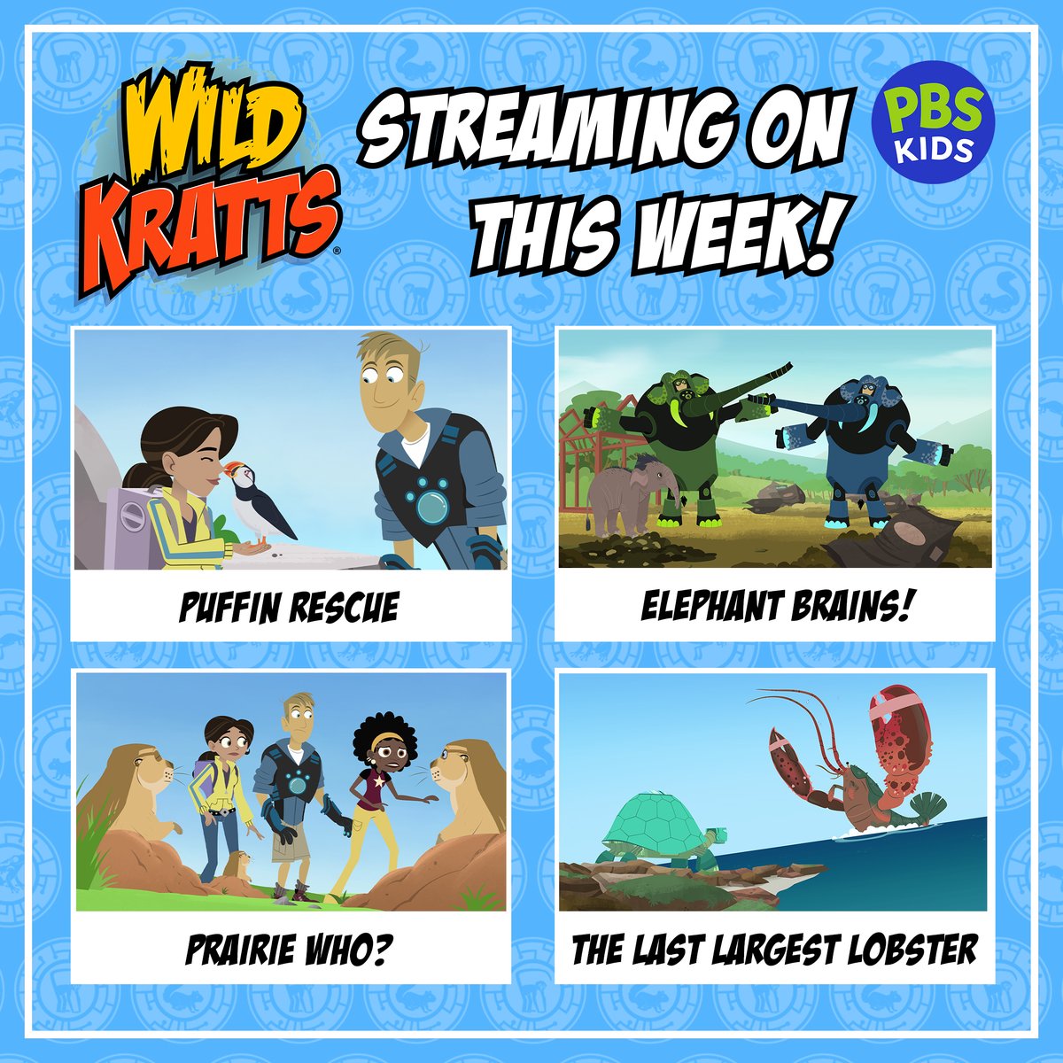 wild kratts movie streaming