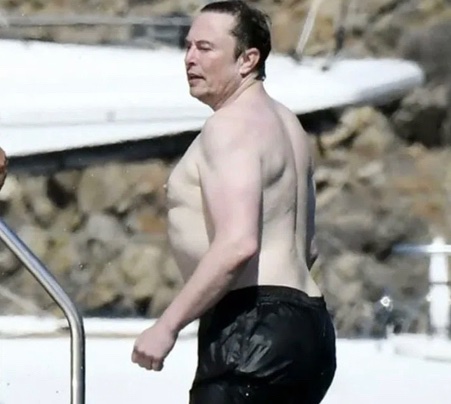 No Context Paul on Twitter: "Elon Musk’s dog 🐾"