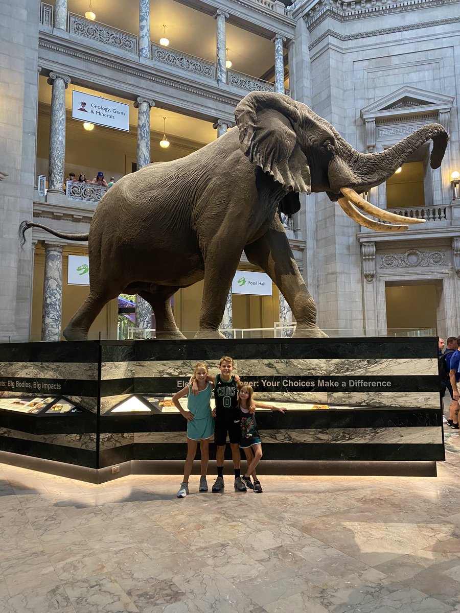 MsKniffen tweet media