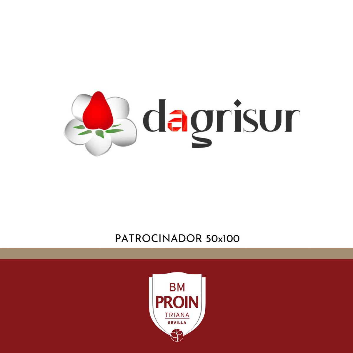 Cajasol Sevilla BM Proin tweet media