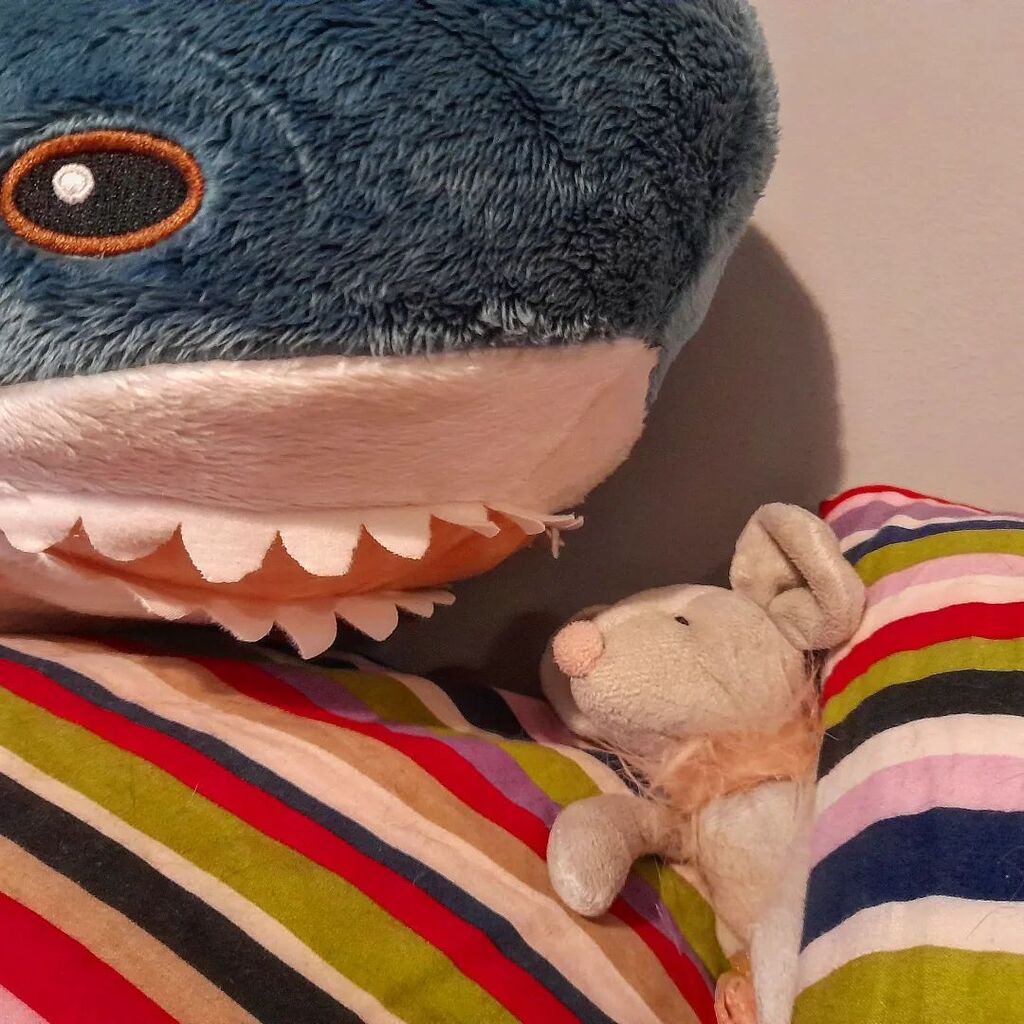 Scene of Mild Peril 😱 instagr.am/p/Chkj-oTs3qC/