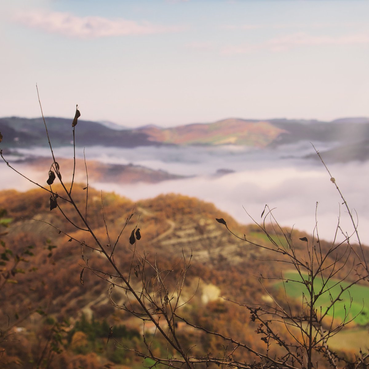 andtwiter1's tweet photo. #parma #italy #mountain #photography #wild #nature #fog #cloudy #cloud #naturephotography https://t.co/sT9Uohvh9y
