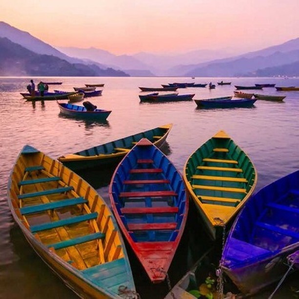 ViaggiElefante's tweet photo. Il Nepal è una terra di paesaggi straordinari e antichi templi, percorsa dai sentieri più belli del mondo, un paese ricco di bellezze naturali, di storia e di cultura…

#nepal #viaggio #viaggiaresempre #touroperator #viaggidellelefante https://t.co/PqPQZZdmjk https://t.co/4gFTf0QxDO