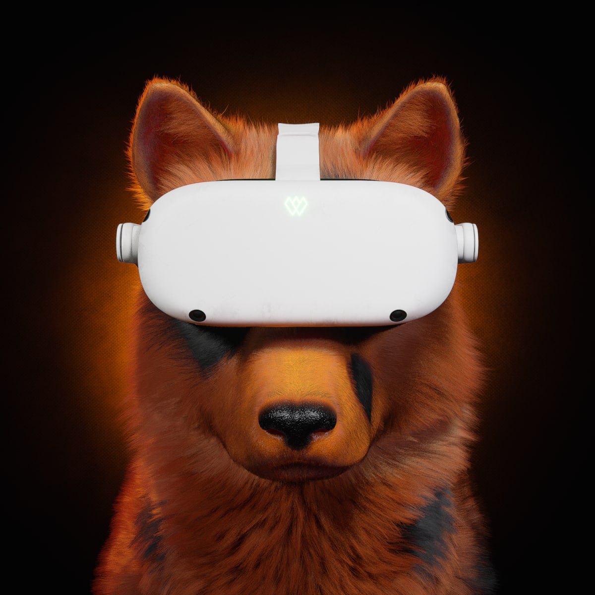 Wilder World tweet media