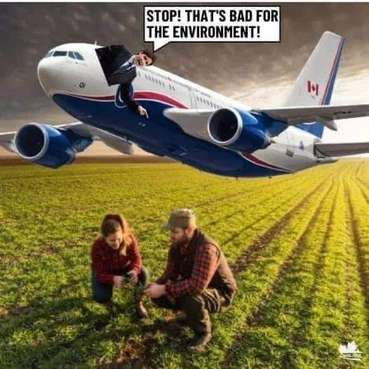 Imperial Seed (@kurt_shmon) on Twitter photo 