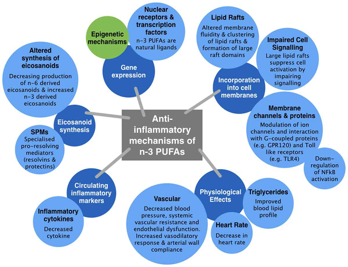 <a href="/mdpatrick/">Dan Patrick</a> <a href="/JuliaB_fitness/">Julia B.</a> <a href="/thesamparr/">Sam Parr</a> <a href="/davidasinclair/">David Sinclair</a> <a href="/NUSMedicine/">Yong Loo Lin School of Medicine</a> <a href="/IRBBarcelona/">IRB Barcelona</a> <a href="/AndreaBMaier/">Andrea Maier</a> <a href="/ResetYourClock/">iTR (Induced Tissue Regeneration)</a> <a href="/DrMorganLevine/">Morgan Levine</a> <a href="/LizRose14449371/">Liz Rose</a> <a href="/OcampoLab/">Ocampo Lab</a> Mechanistically EPA &amp; DHA (and their concentration/product/dose/time dependent derivatives) work together synergistically via multiple mechanisms to reduce/resolve chronic inflammation. tandfonline.com/doi/full/10.10… x.com/npure3/status/…