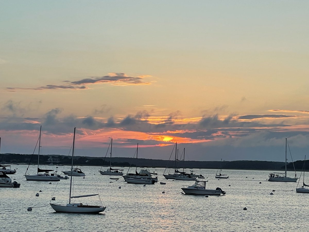 Beth Lambert tweet media