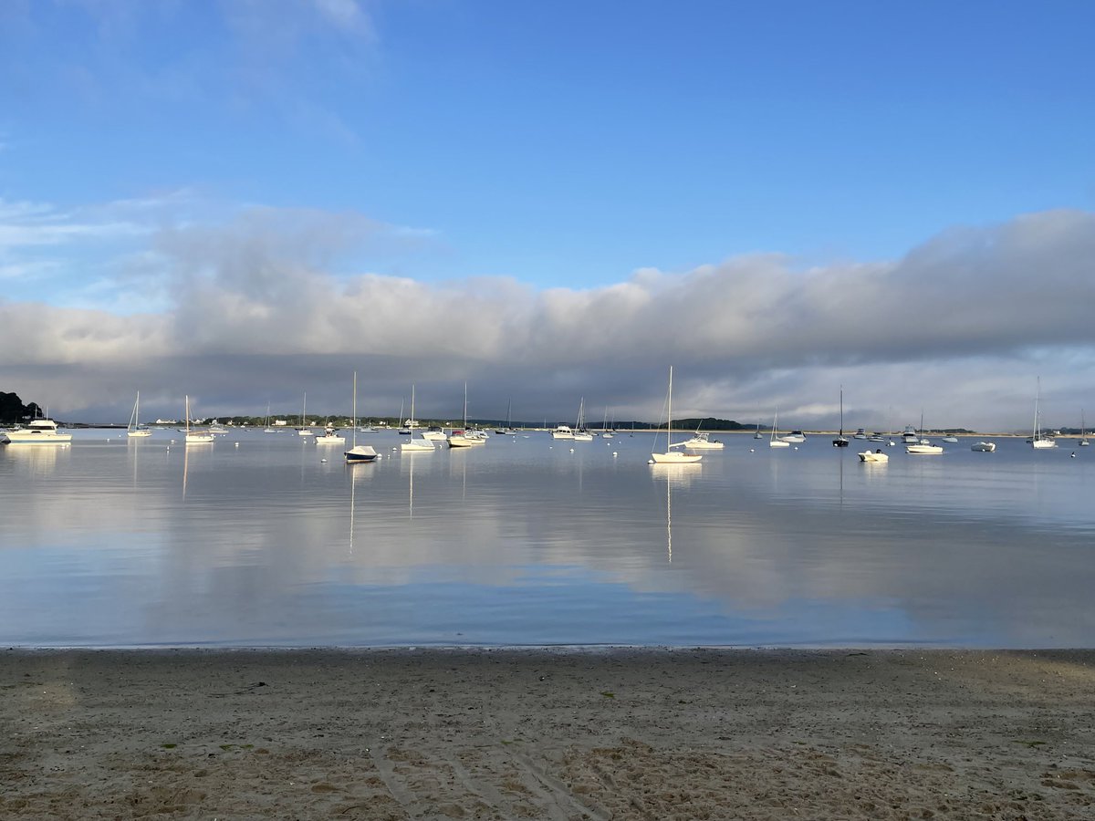 Beth Lambert tweet media