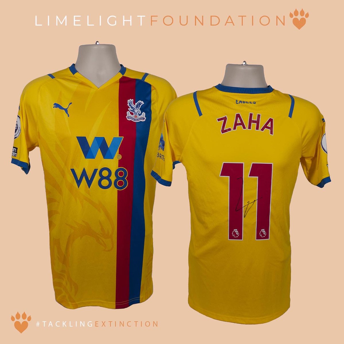 The Limelight Foundation tweet media