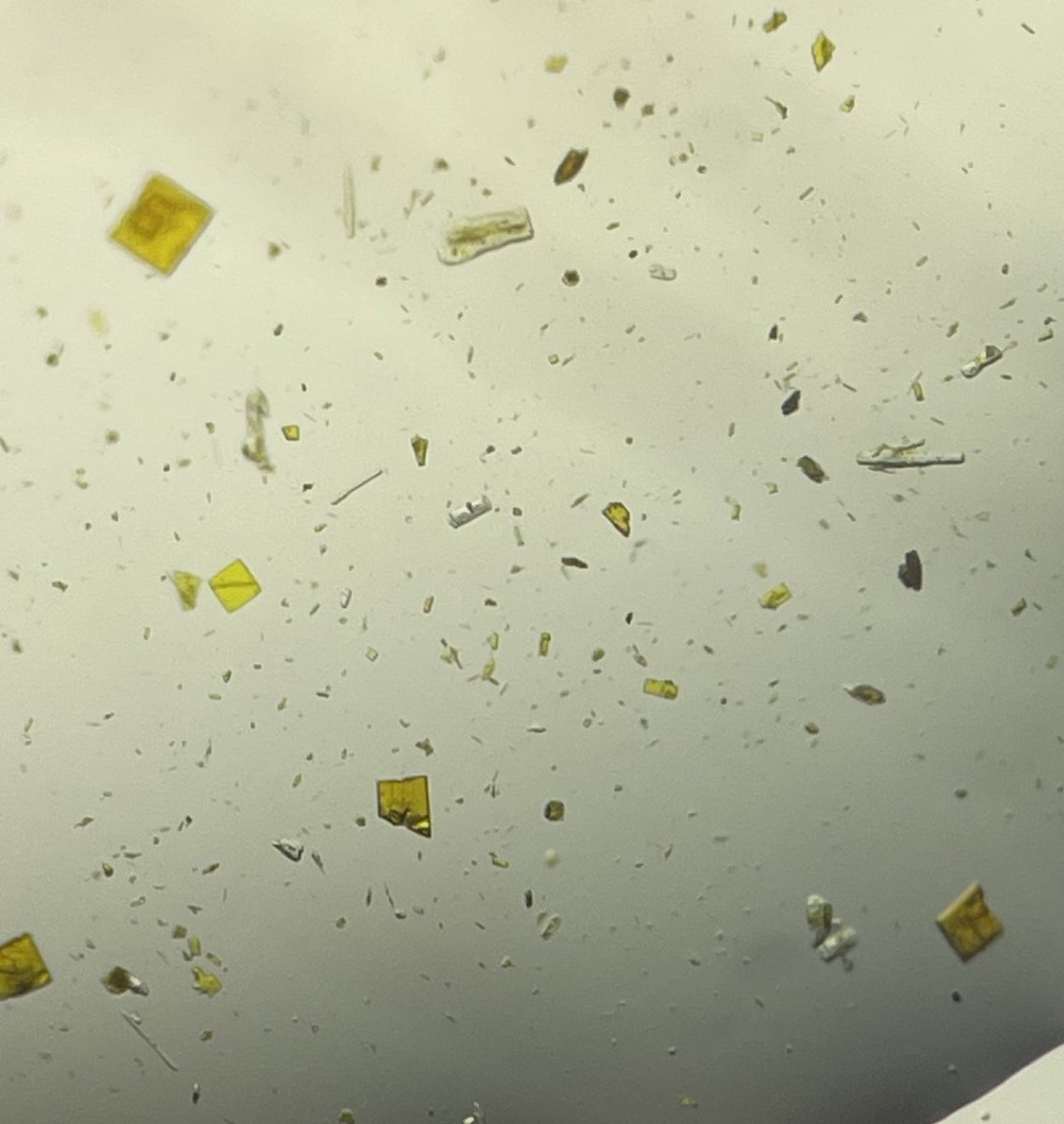 Jsperling91's tweet image. Plutonium crystals always make Mondays way better #fblockrocks @TEAS_Actinides