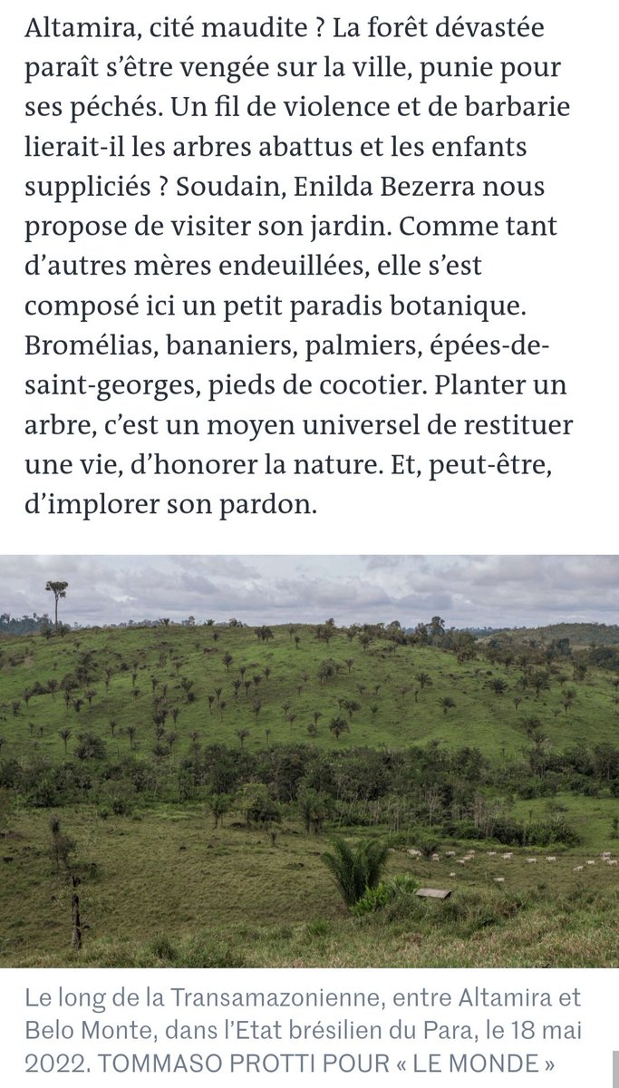 SbastienLebret8's tweet photo. #BrunoMeyerfeld #TommasoProtti
en reportage pour #LeMonde en #Amazonie #Altamira
la naissance de la route transamazonienne : pauvreté, trafics de drogue, extrême criminalité, atteinte majeure à la #biodiversité https://t.co/p7hexYLtlS