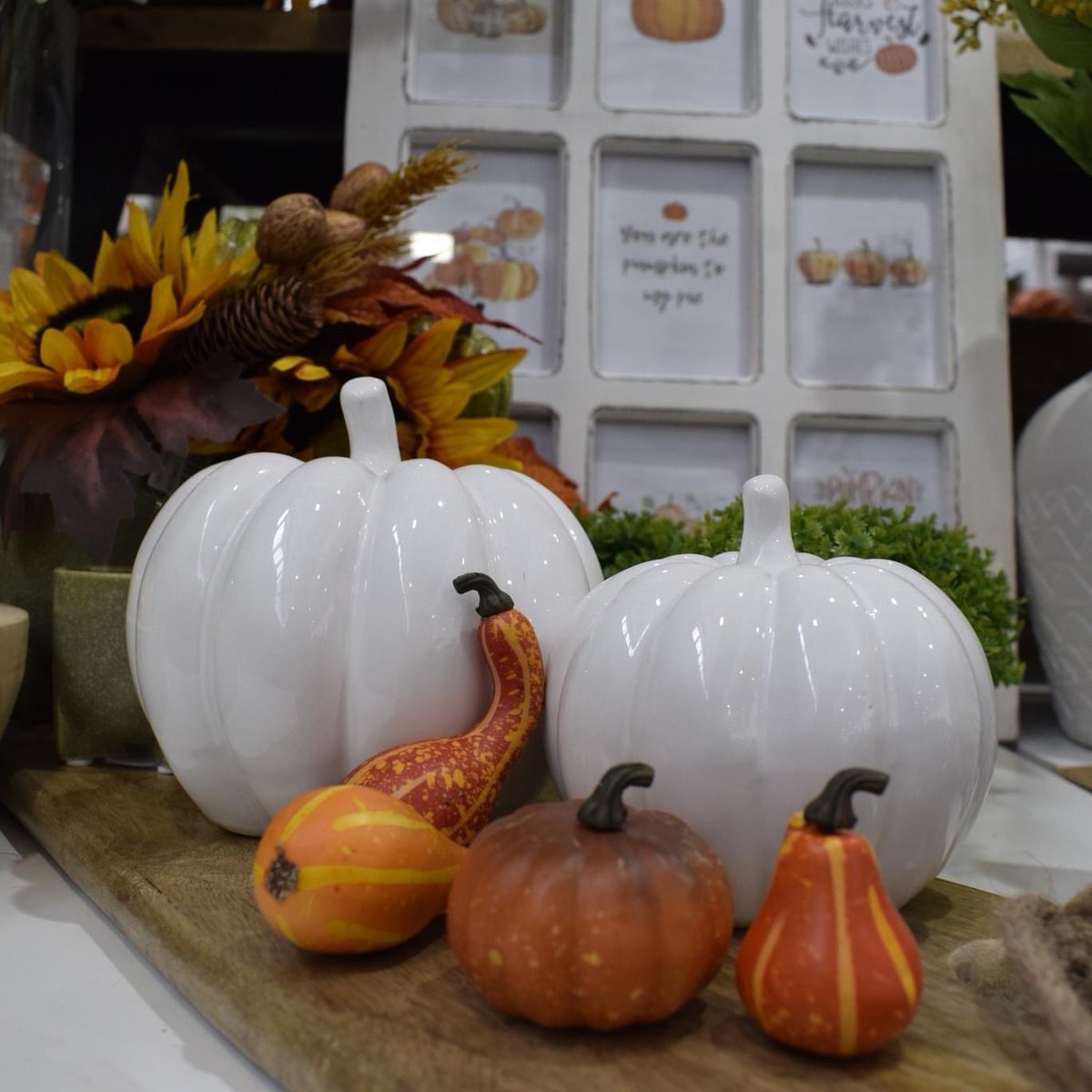 InspWhole's tweet photo. Autumn is right around the corner! 🍁 🎃 https://t.co/RoEylUMS7G