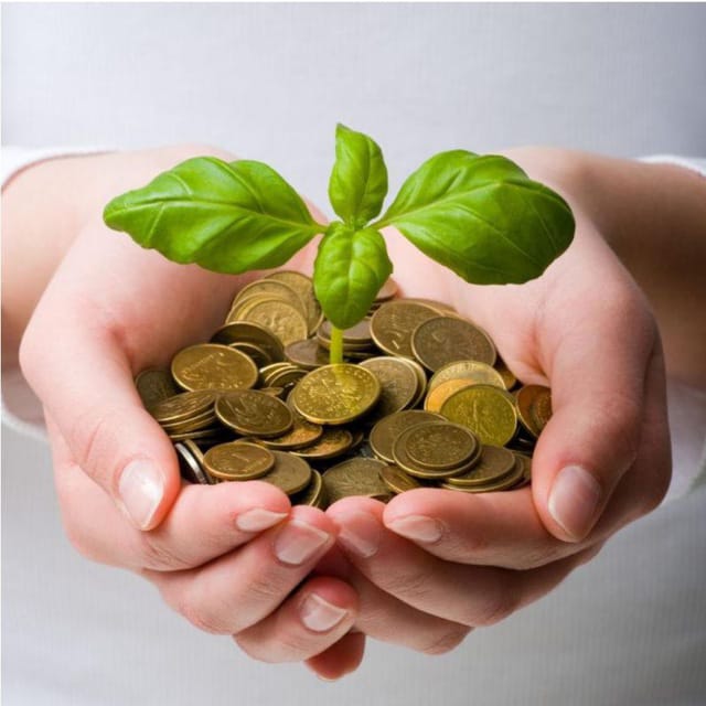 As this plant is growing that how investment grow when you invest with a trusted company, 

With laftaapparel.ltd investment platform, you make money from home through your mobile handset or pc

With your little investment as a capital you will earn profit on daily basis.