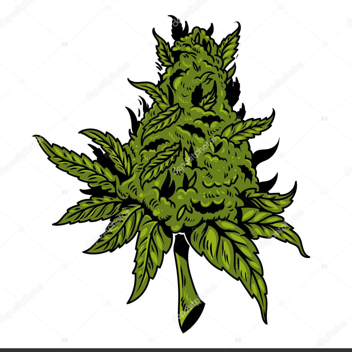 Hello Whale. tweet media