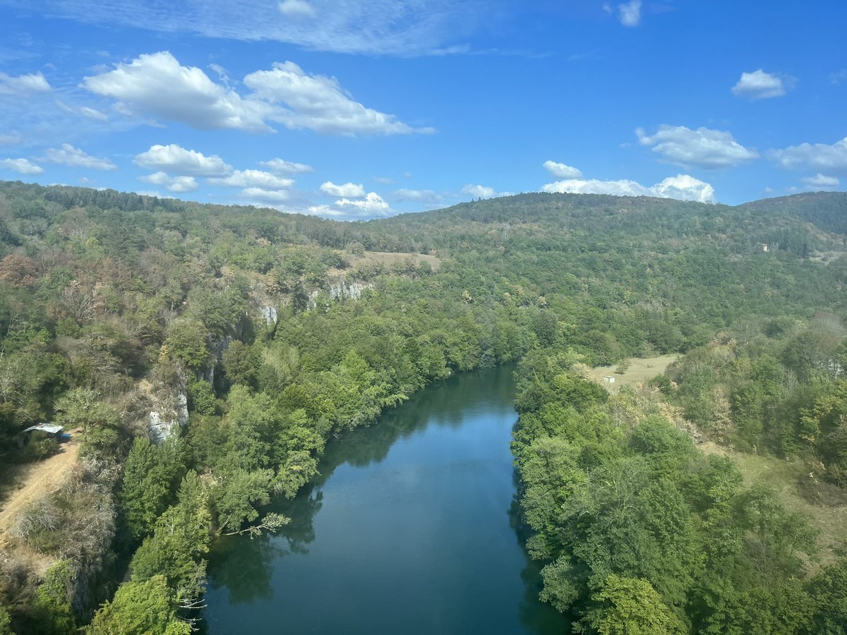 Liz Neate tweet media