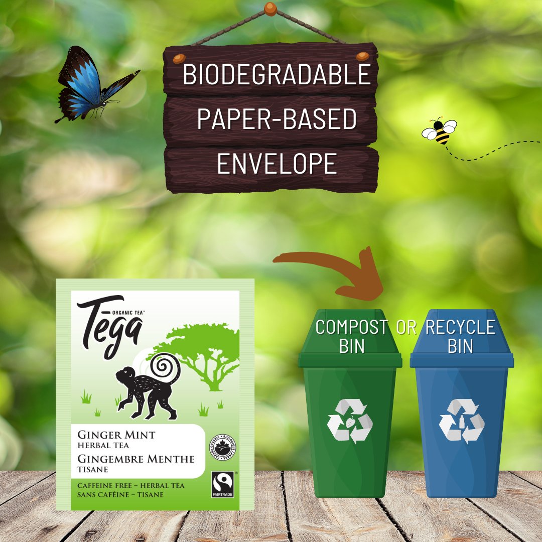 Tega Organic Tea tweet media