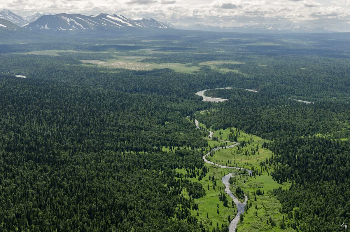 Russia's tweet photo. 🥳 Today is Russia's #KomiRepublic Day!
1⃣0⃣1⃣ & counting!
🌲 It is a land of wonders: primordial wilderness and vast expanses. It hosts over 78K lakes, endless virgin forests & massive marches. The #Manpupuner rocks, ancient traditions & mysteries come included 🌄 https://t.co/qoYJhtZd6H