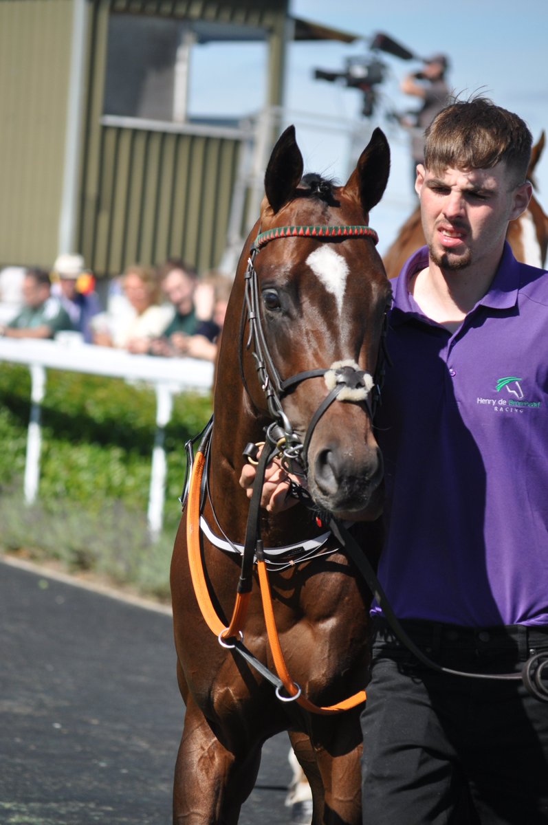 PCequinephoto's tweet photo. BIRD OF PLAY trained by @HenrydeBromhead NAAS 21-8-22 https://t.co/WvArhkDAfk