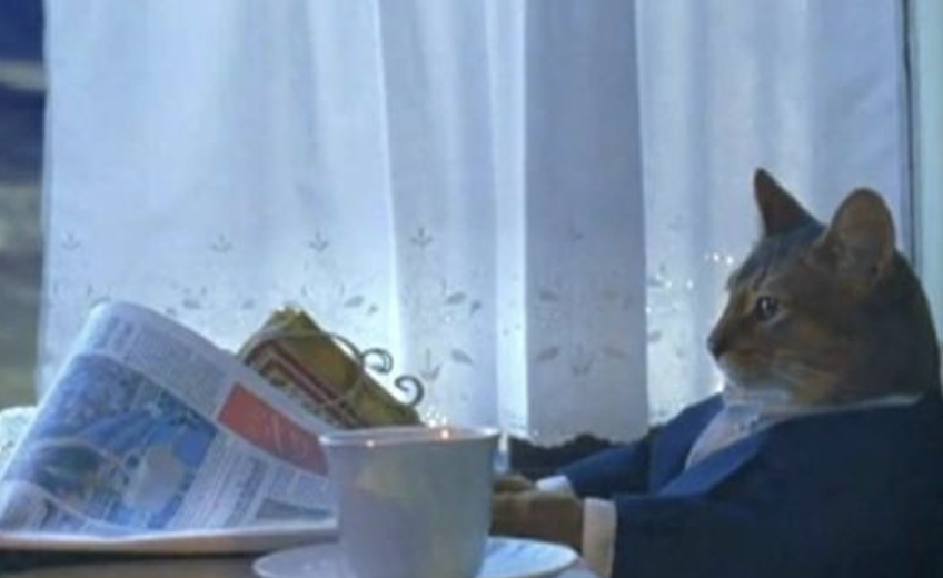 We should go to Europe