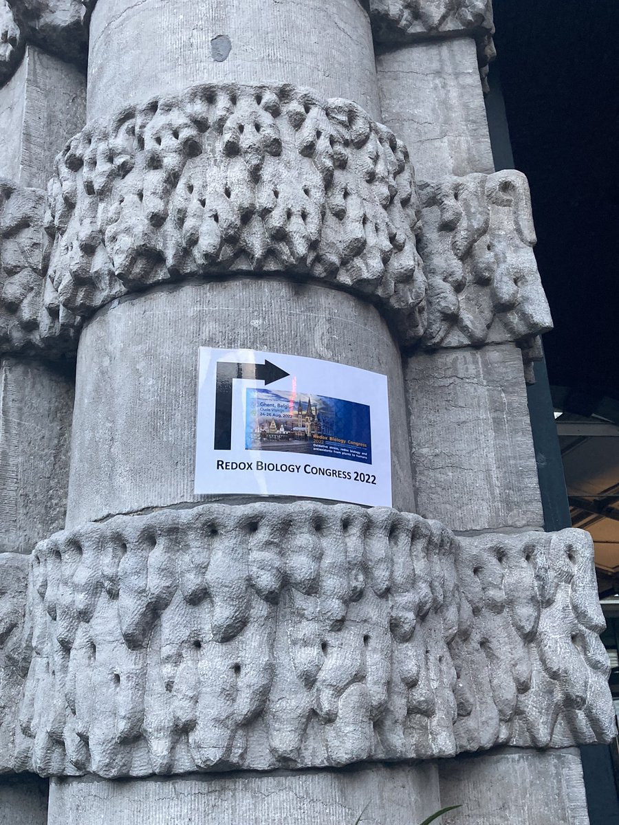 PlantOxygenGroup2022 tweet media